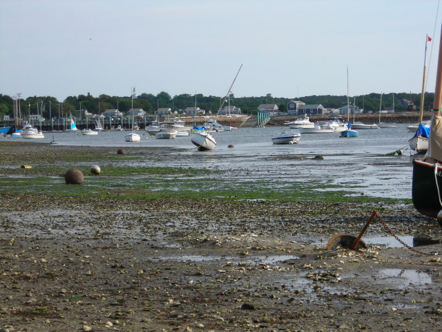 Wellfleet at low tide